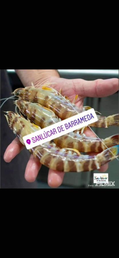 Piso De Dos Dormitorios En El Centro De Sanlúcar de Barrameda Exterior photo